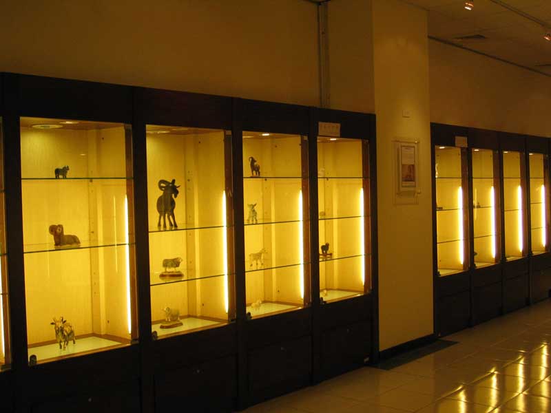 展示二区B区图片